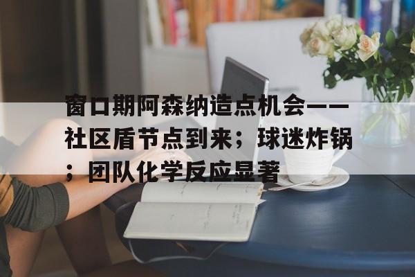 kaiyun-窗口期阿森纳造点机会——社区盾节点到来；球迷炸锅；团队化学反应显著的简单介绍